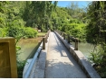 Pak Tam Chung Pak Tam Chung