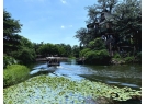 Jungle River Cruise Jungle River Cruise