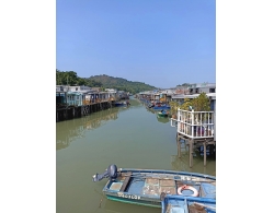 Tai O Tai O